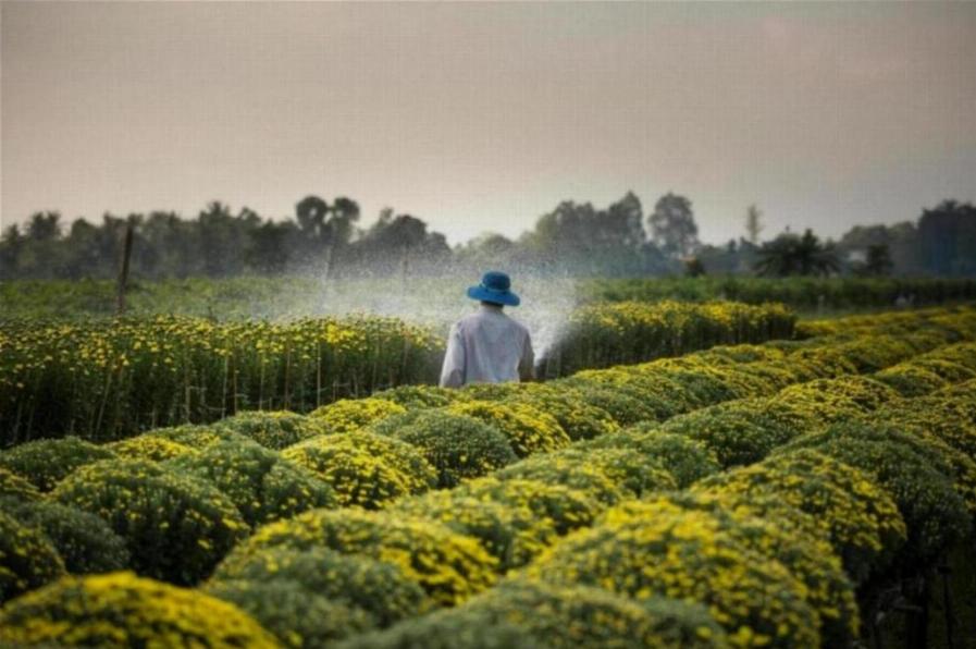 Study Agriculture Course in malaysia (3).webp